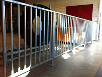 Click here to see the picture (staal_hekwerk.jpg)